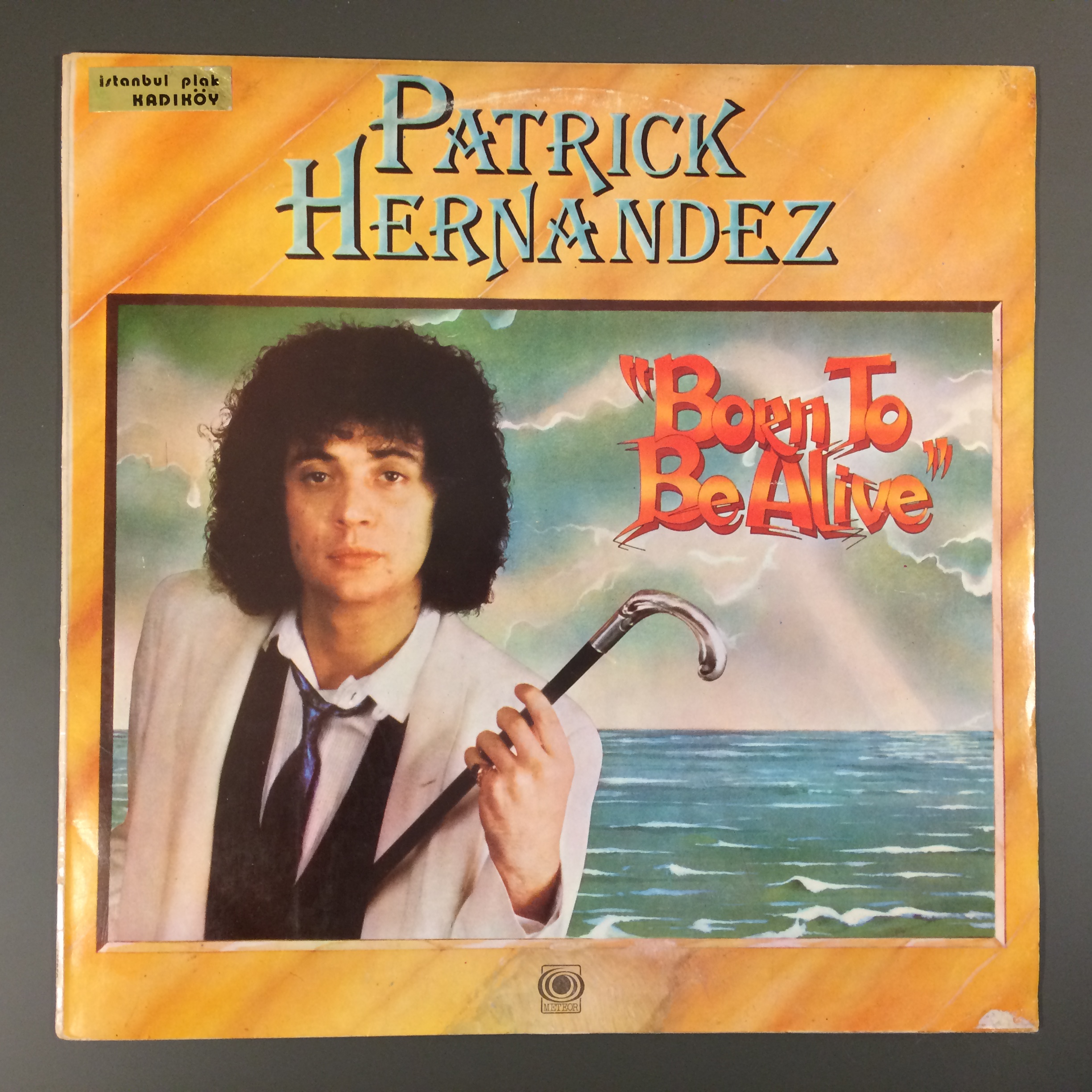 Born to be Alive - Partick Hernandez